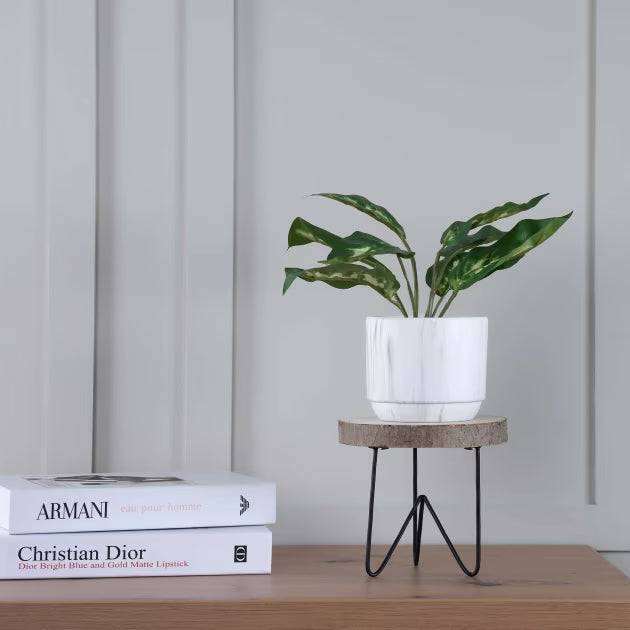 Panhome Wooden Decorative Stand