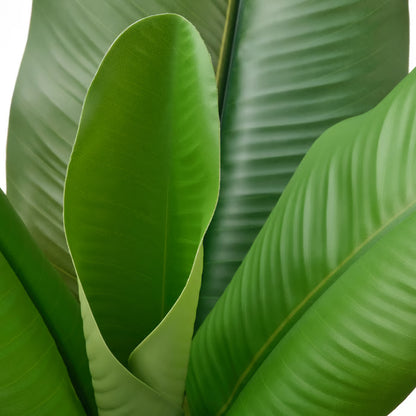 IKEA -Artificial potted plant, indoor/outdoor Banana tree, 4 ¾ "